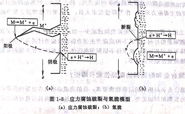 圖 8.jpg